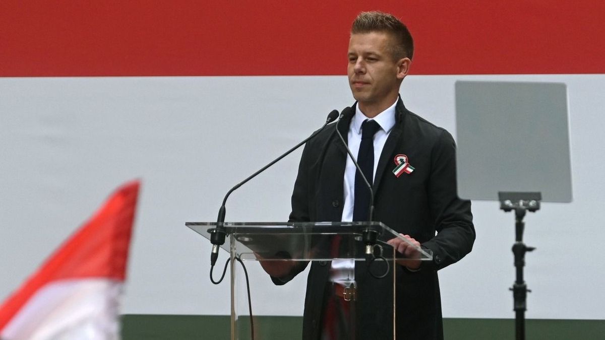 Megsérthette a bírói függetlenséget Magyar Péter édesanyja