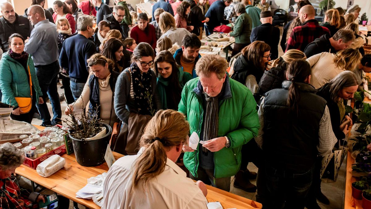 A barnagi magbörzén elindult a magkönyvtár