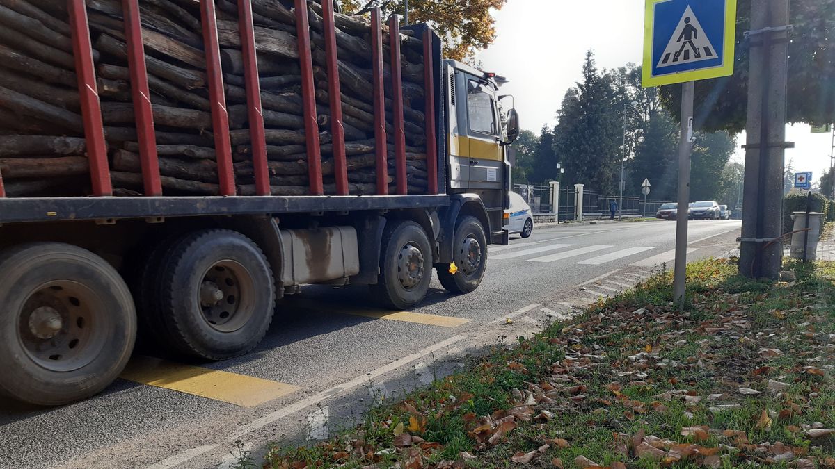 Villogó zebra a 82-es főúton – Mutatjuk, miért lenne jó több (képek, videó)