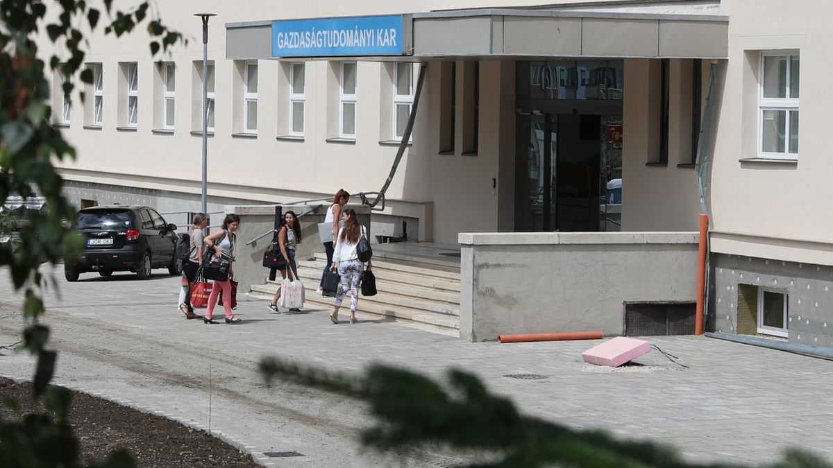 Pannon Egyetem – a háromnegyed évszázados intézmény öröksége által még patinásabb