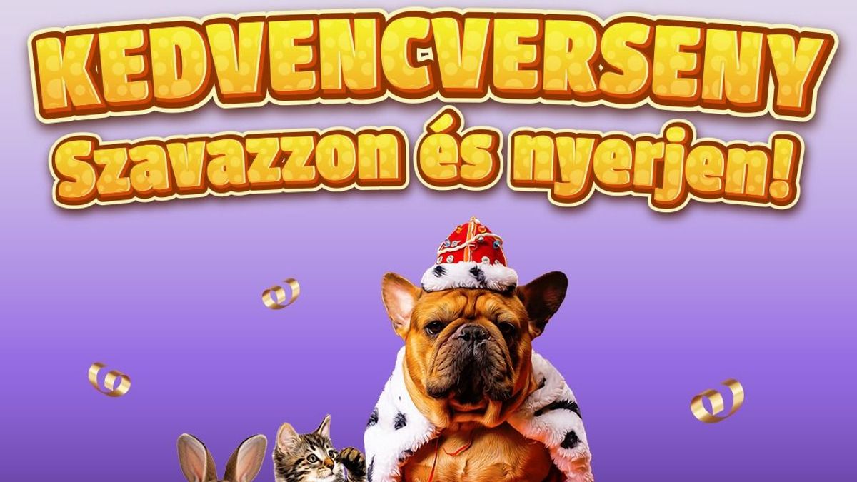 Szavazzon a legcukibb házikedvencre és nyerjen!