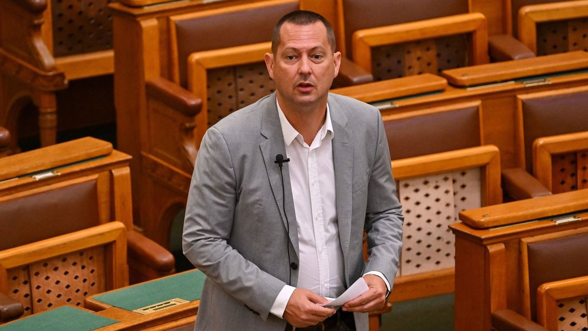 Felfüggesztették az MSZP-s Molnár Zsolt mentelmi jogát