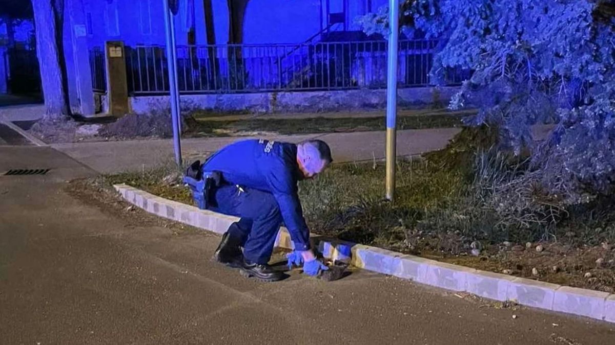 A sünökre is vigyáznak a veszprémi rendőrök
