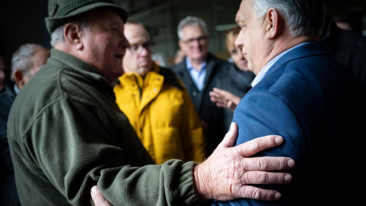 Orbán Viktor: nekünk béke kell!