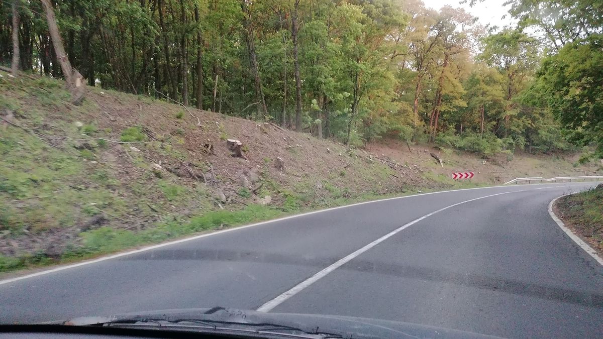 Tarvágás miatt kevésbé szép a cseszneki szerpentin – Súlyos oka volt az erdőgazdálkodói döntésnek