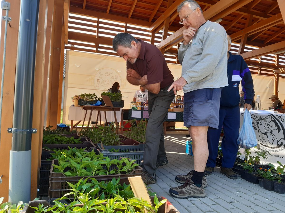 A Kertbarátok Ünnepe keretében idén mag- és növénybörze is lesz Zircen, a piactéren