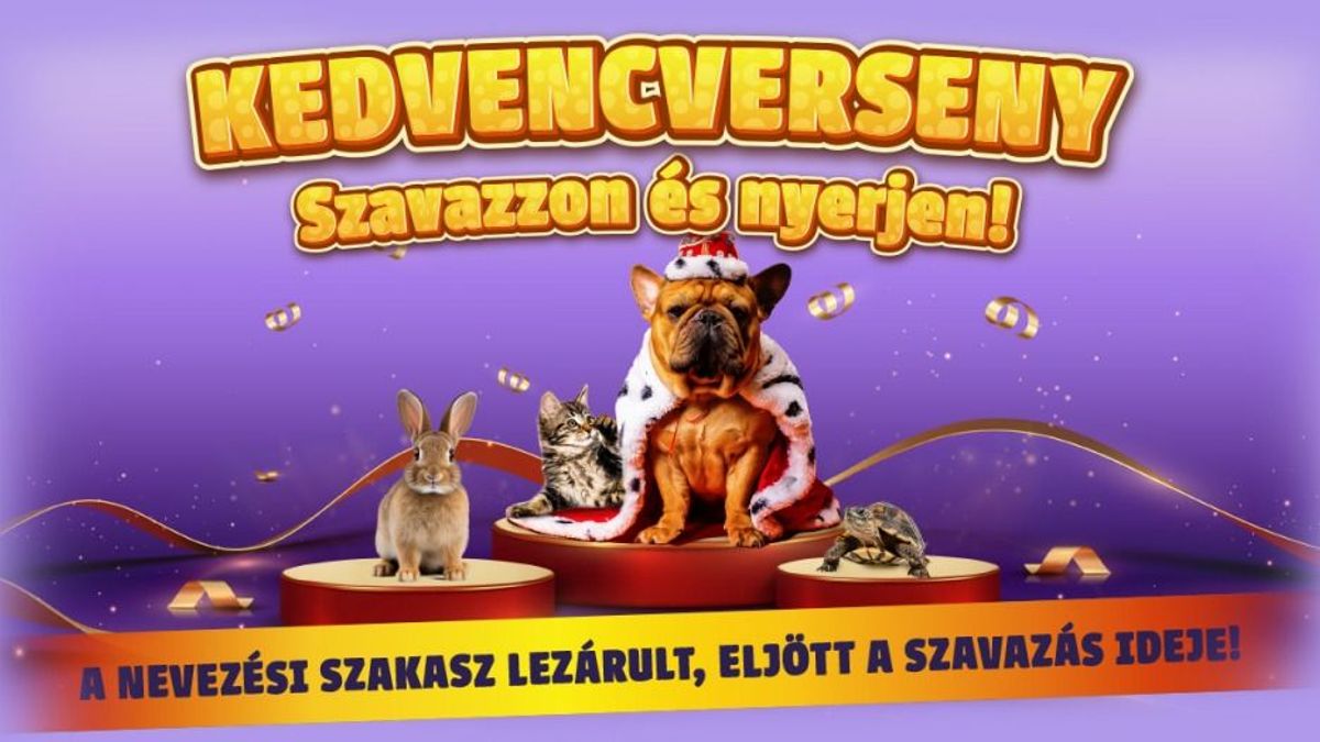 Hajrában a kiskedvencek!