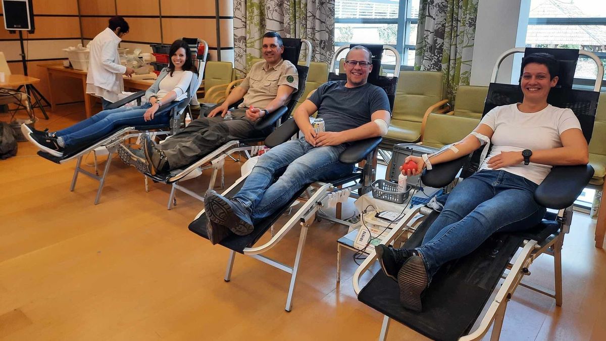 Vért adtak a Bakonyerdő Zrt. munkatársai