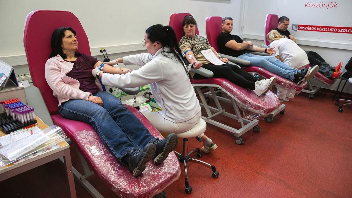 Elérhető a vöröskereszt megújult applikációja