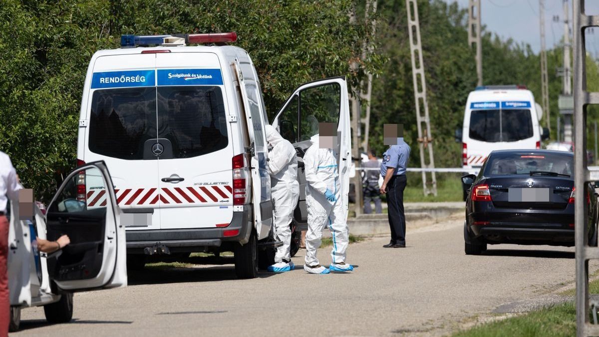 Szörnyű fordulat: az anyuka ölte meg saját kislányát Kapuváron (videó)