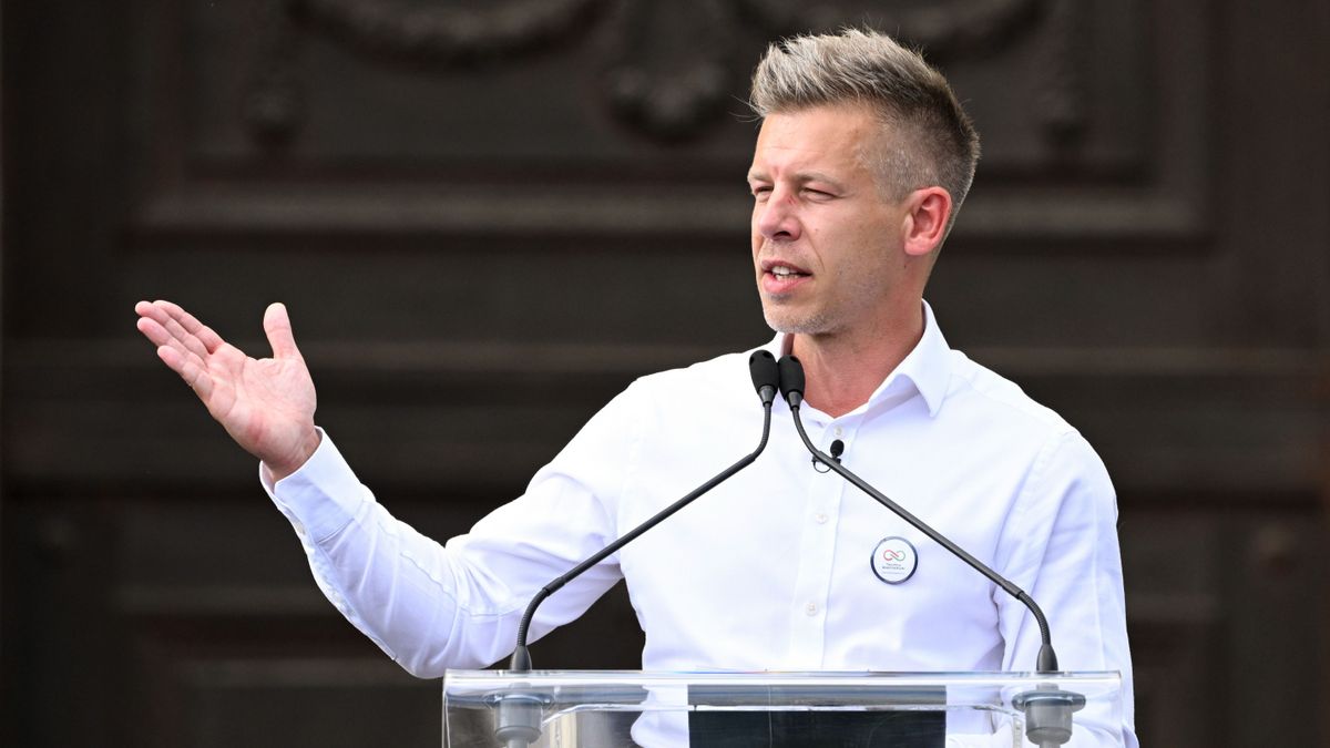 Magyar Péterék csoportjában támogatják a sorkatonaságot