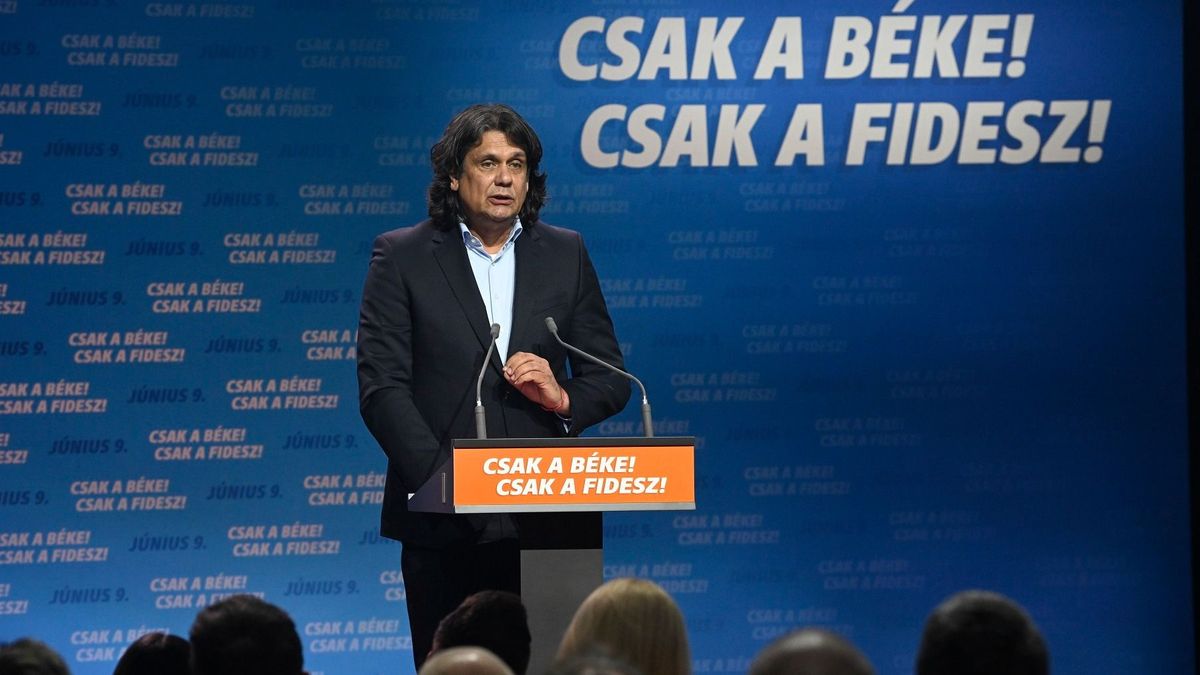Deutsch Tamás: soha nem volt még akkora tétje EP-választának, mint 2024-ben