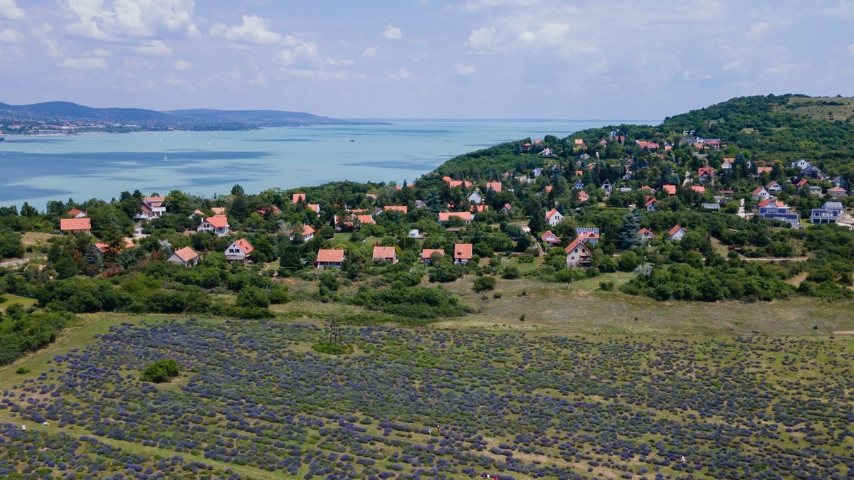 Jó befektetést keres? A Balatonon vegyen házat vagy lakást! Most!