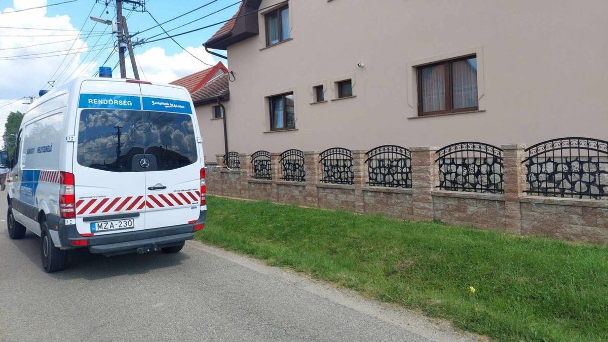 Felkavaró részletek derültek ki a gyermekét és önmagát megölő kapuvári anya ügyében