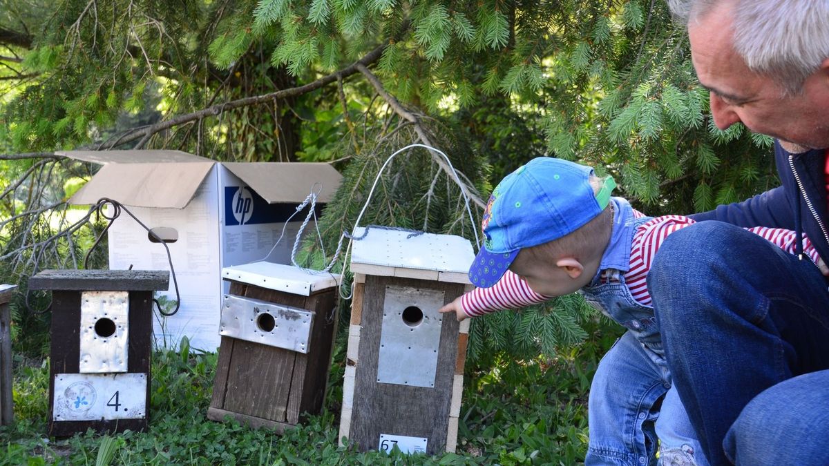 Tojáshéjakat, elhullott tollakat keresve haladtak a nyomozók az arborétumban, egészen a borzvárig