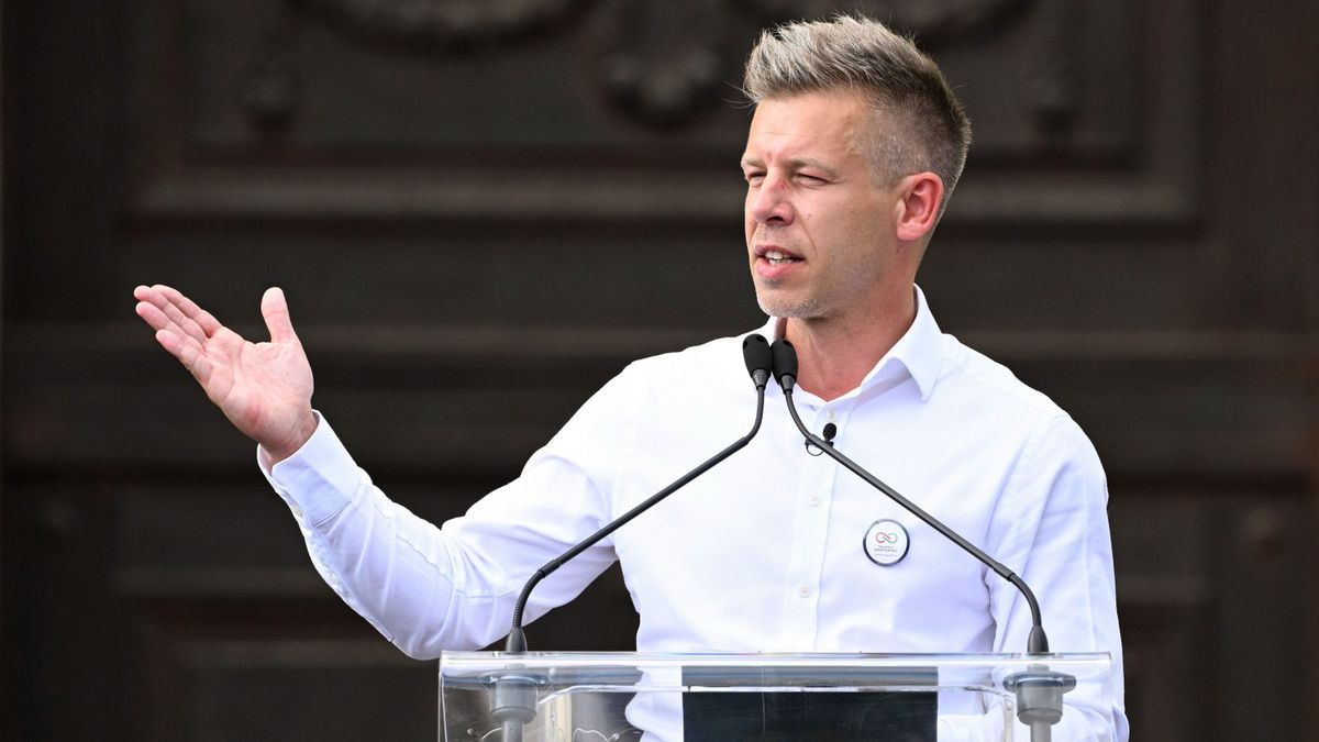 Négy évet ült fegyházban Magyar Péter gazdasági vezetője