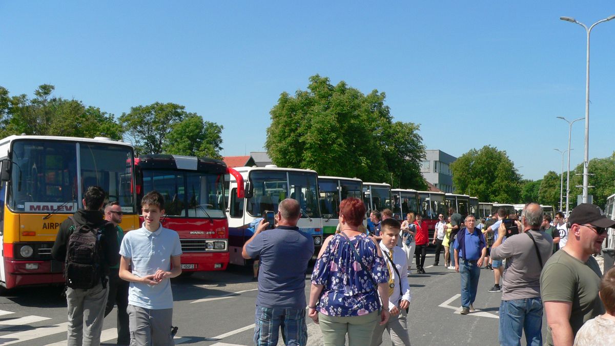 Ikarus – a magyar ipar büszkeségének patinás példányai rótták a Balaton-felvidéket (+galéria, +videó)