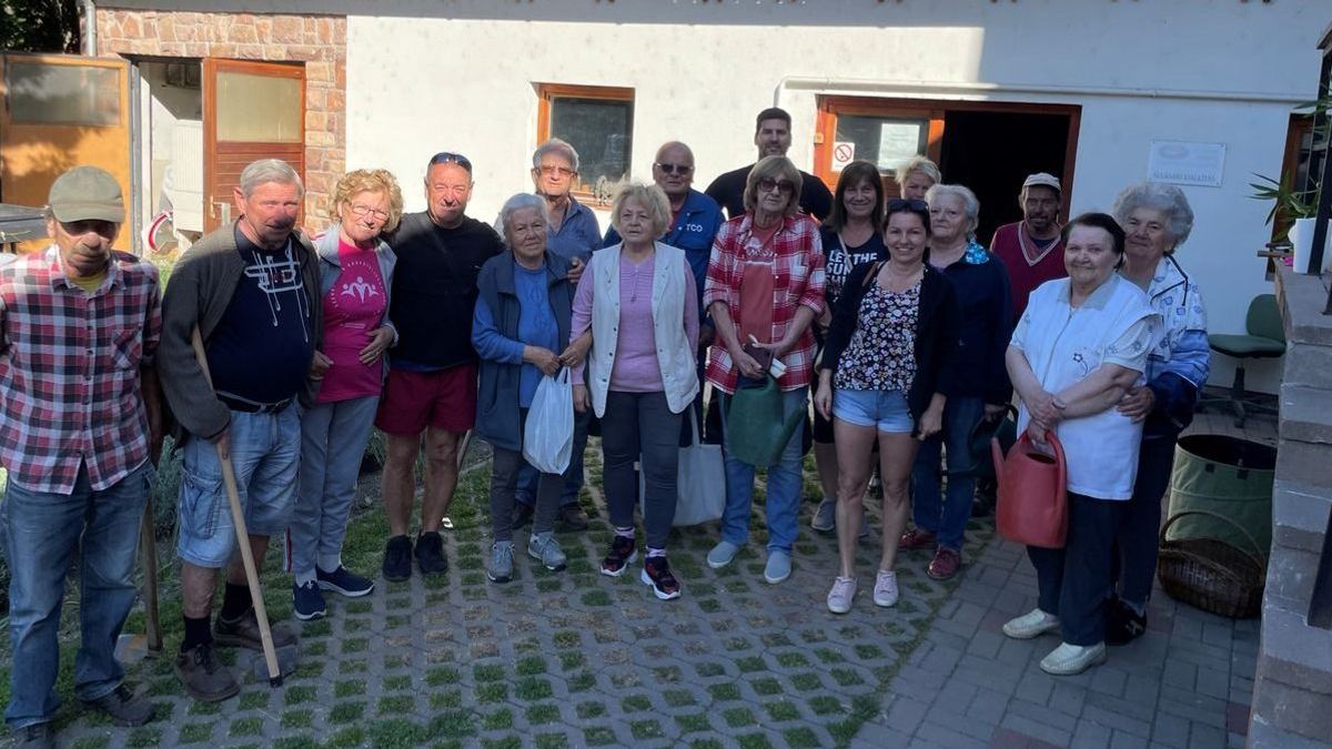 Több száz virágot ültettek Lovason