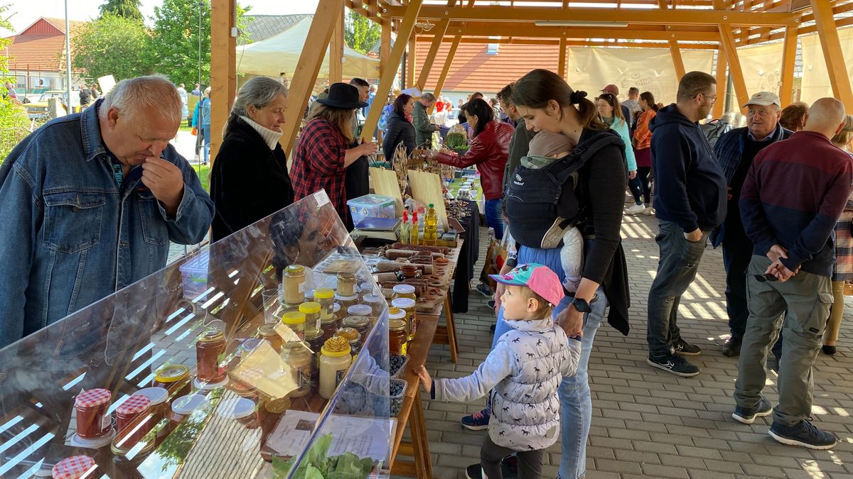 Nem csak meghirdették a zsongást – Pezsgett a születésnapján a zirci piac (képgaléria, videó)