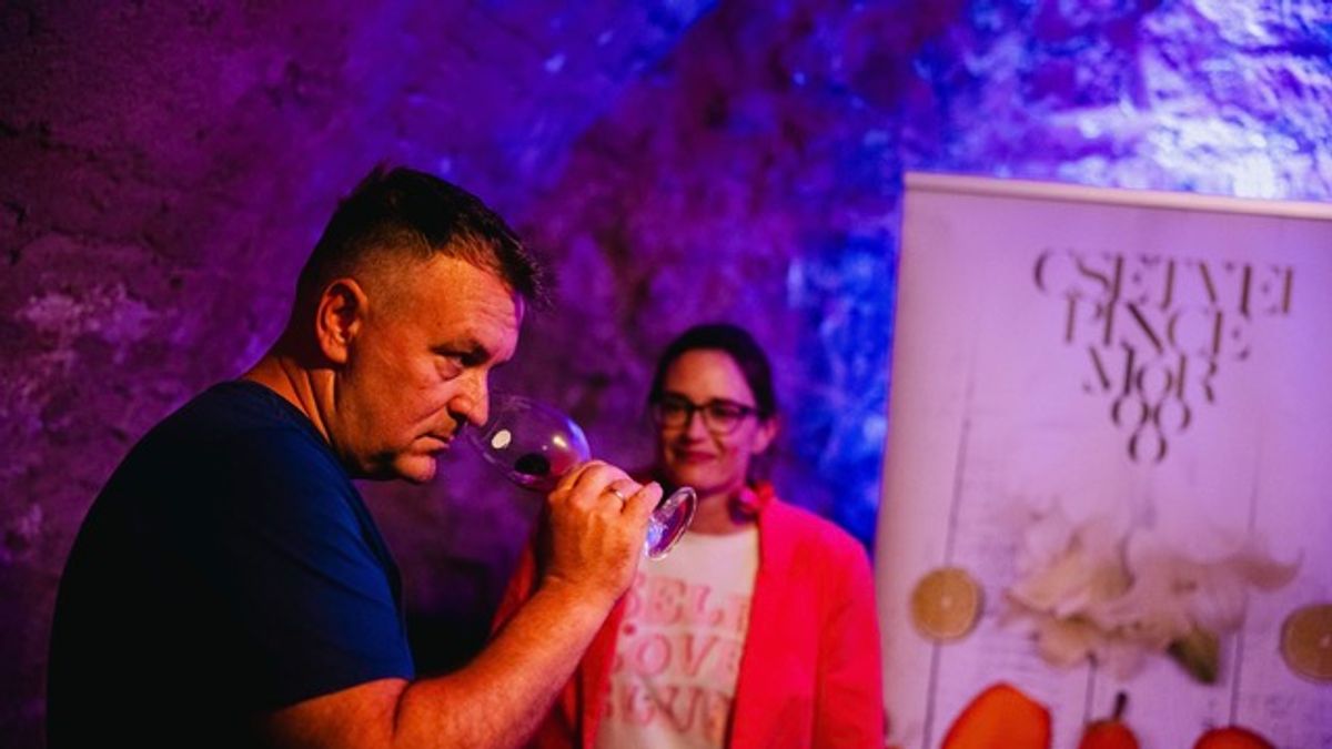 Hideg borok és pezsgők, estébe nyúló beszélgetések a Veszprém Borszalonban