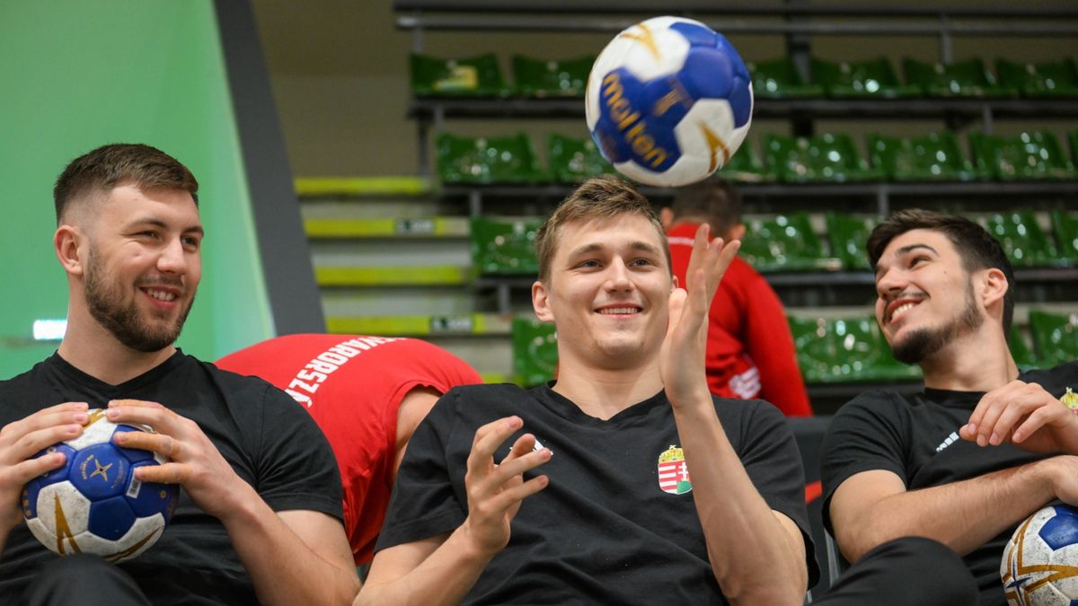Válogatott meccs lesz a Veszprém Arénában