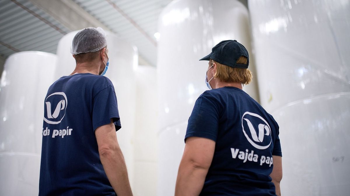 Bővült a forgalma és javult az eredménye a Vajda-Papírnak 2023-ban