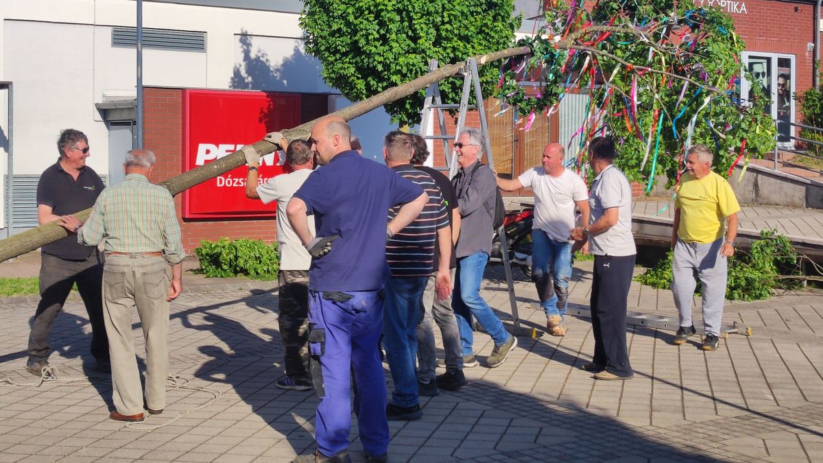 Májusfát állított a baráti kör