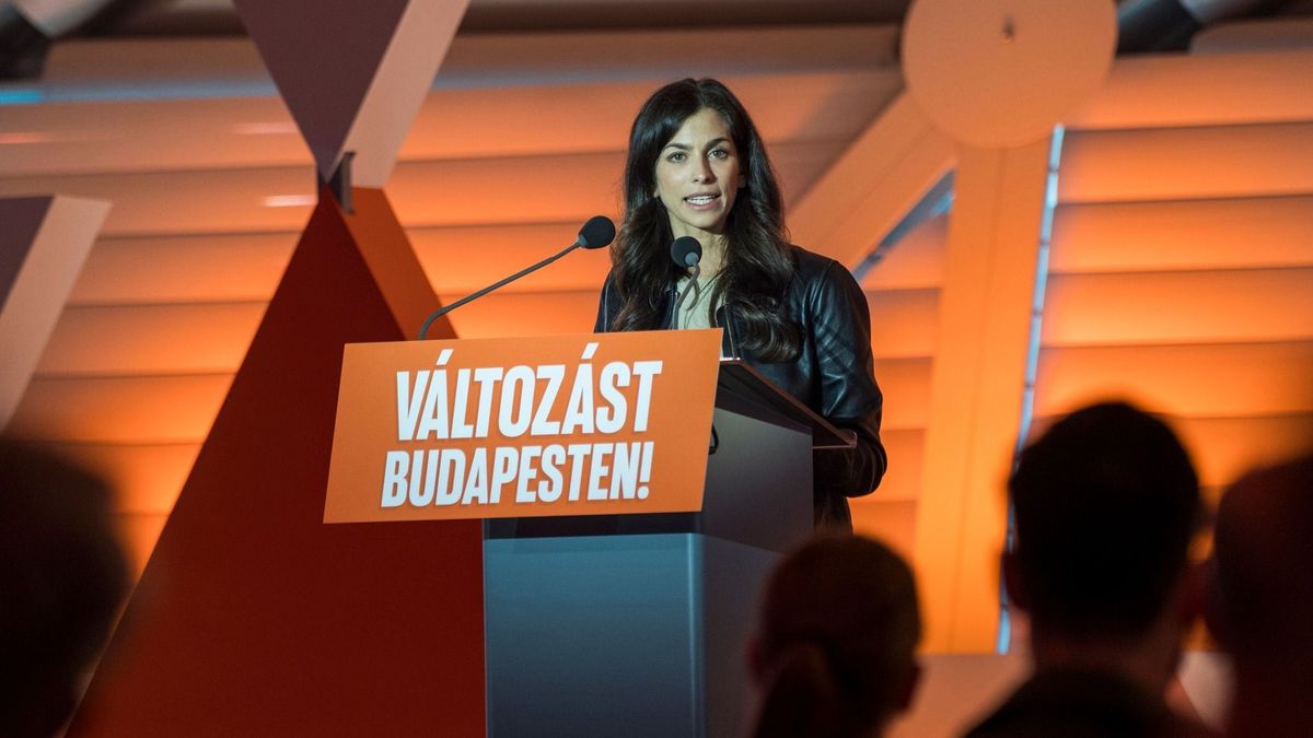 Szentkirályi Alexandra: Karácsonyék kitiltanák az autók kétharmadát Budapestről (videó)