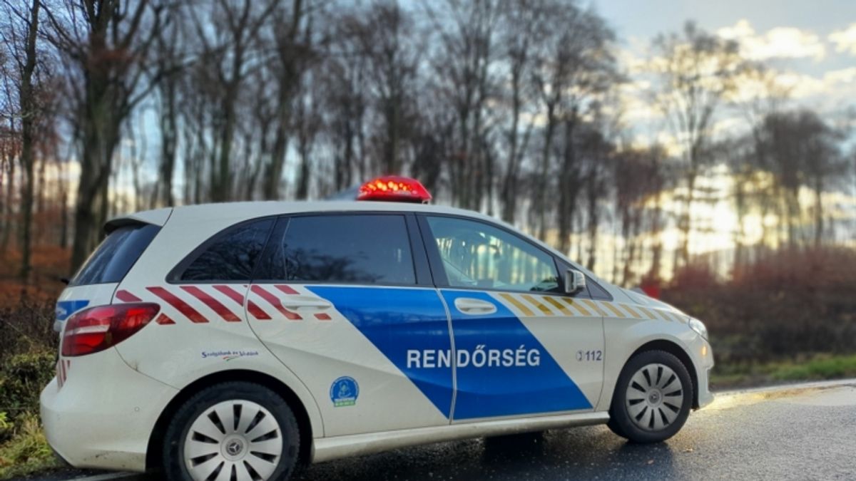 Rendőrkézen a tapolcai raktárbetörők