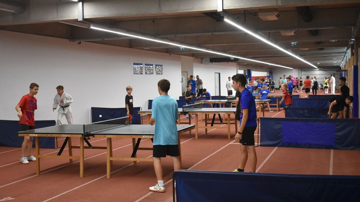 Ifjúsági sporttalálkozó Pápán