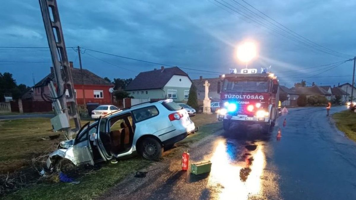 Négy gólyát küldött a halálba egy figyelmetlen autós