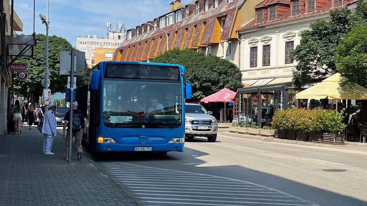Új buszok a forgalomban
