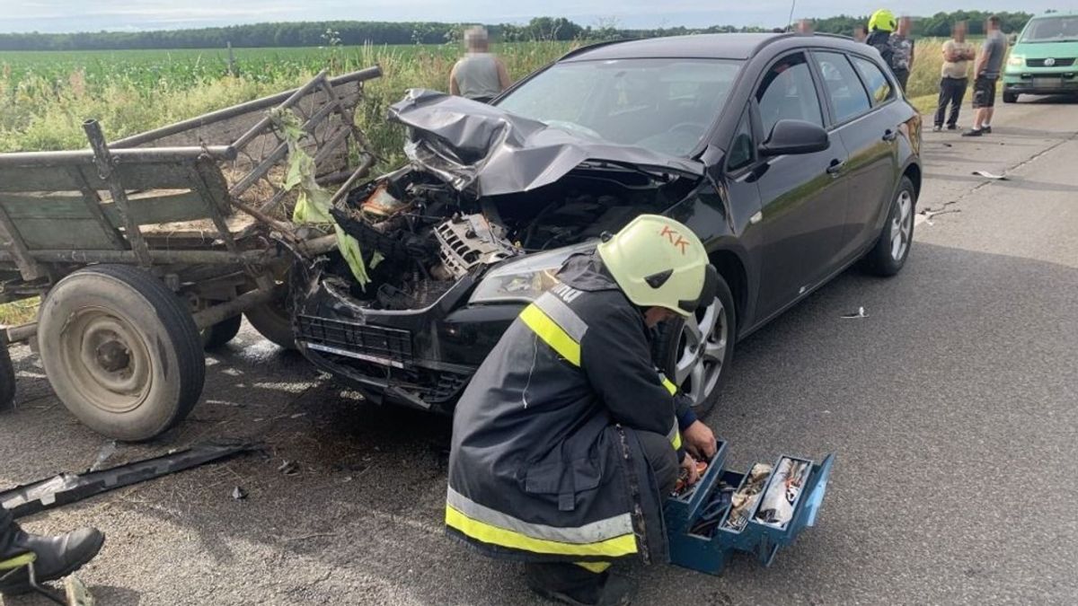 "Isten veled, Pajkos!" - brutális balesetben elpusztult lovat sirat a család, az édesapa súlyosan megsérült