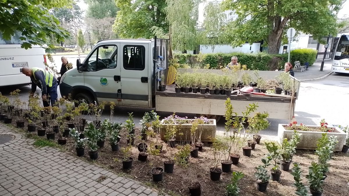 Bővítették a parkokat és virágokat ültettek Balatonalmádiban