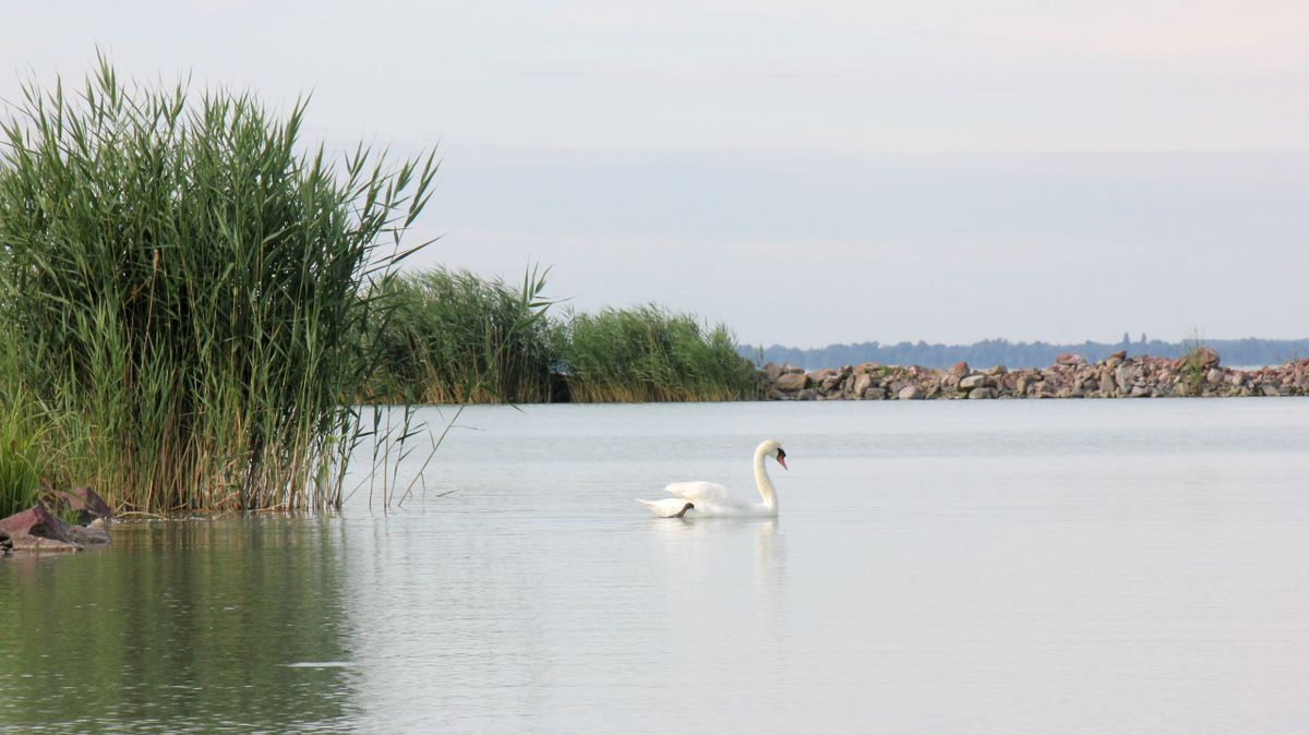 Tartósan 120 centiméter felett a Balaton átlagos vízállása