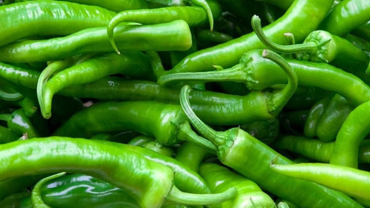 Mutatjuk, hogyan teljesítettek a hegyes-erős paprika vetőmagok a Nébih tesztjén (videó)