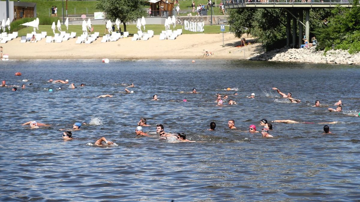 Szombaton több mint 1500-an úsznak a Dunában