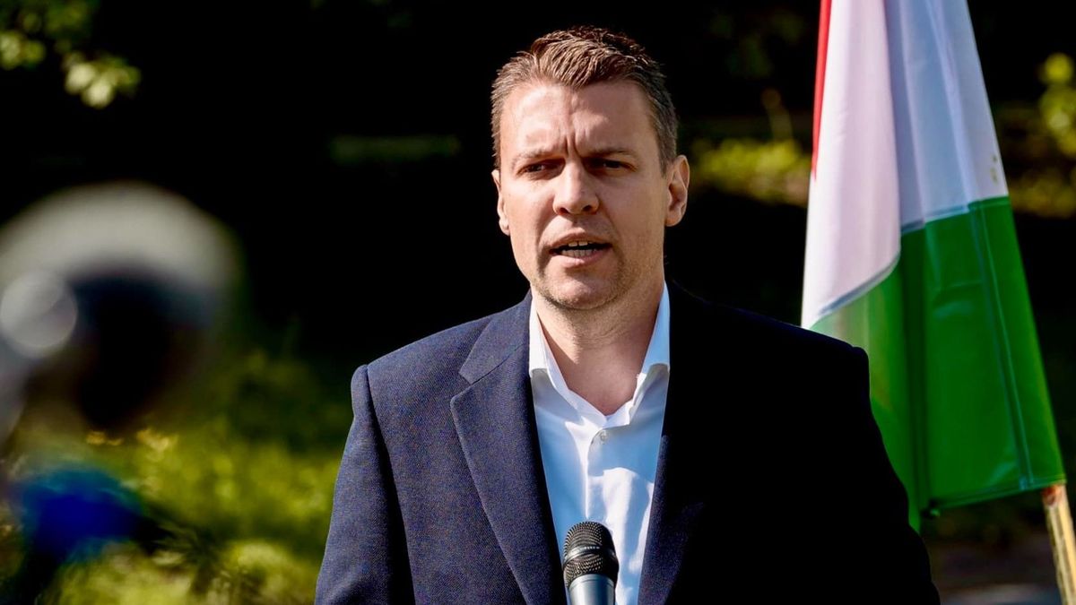 Menczer Tamás: a gyerekekre nem a plakát, hanem a háború jelent veszélyt (videó)