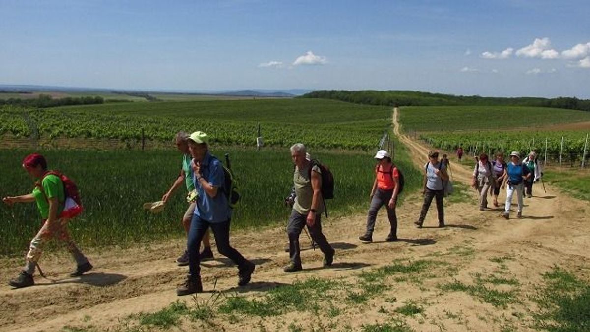 Kirándulás a Balaton-felvidéken