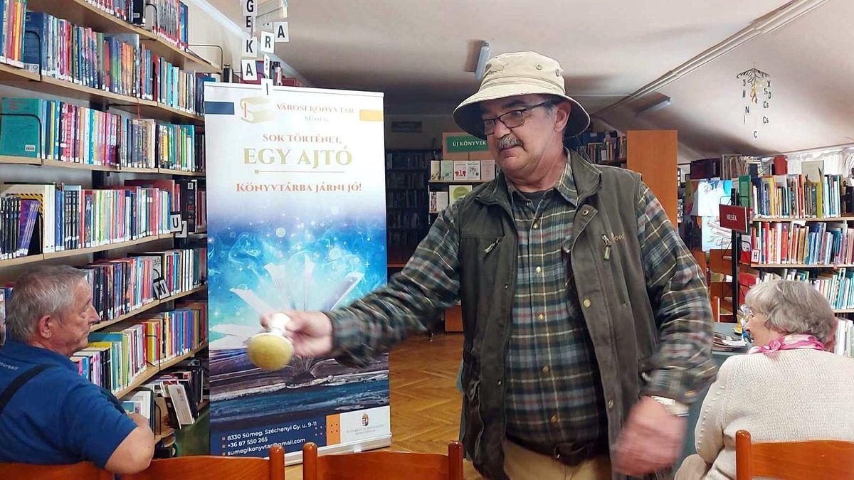 Előadás gombákról felnőtteknek