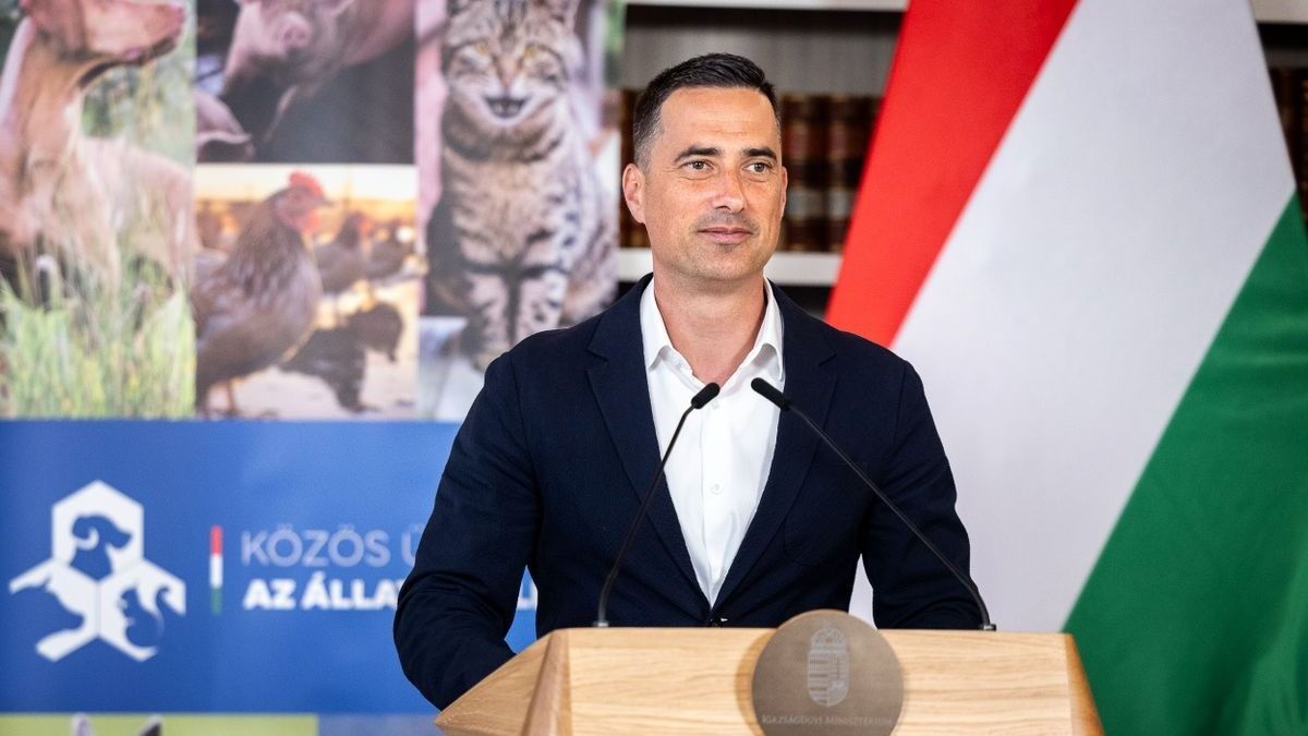 Ovádi Péter: 277 állatvédő civil szervezet nyert el támogatást a számukra kiírt pályázaton