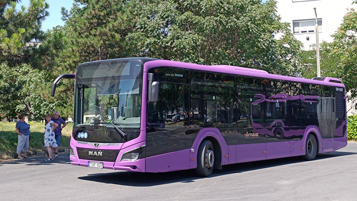 A hőség sem foghat ki a veszprémi buszsofőrökön