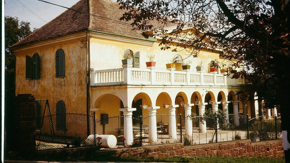 A pesti éjszaka sztárja a Balatonnál