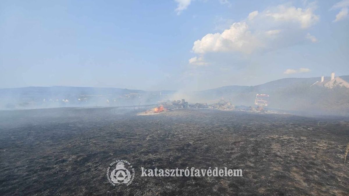 Hetvenhat tűzoltó oltotta a lángokat Tapolcán - Erdő is égett (képek)