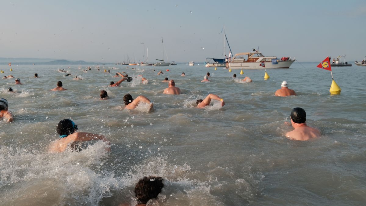 Elrajtolt a 42. Lidl Balaton-átúszás