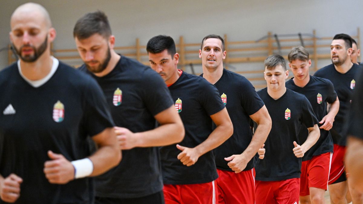 Tíz kézilabdázó képviseli a veszprémieket a párizsi olimpián