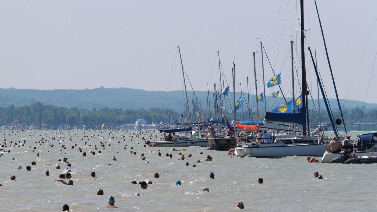 Egyre többen neveznek a 42. Lidl Balaton-átúszásra