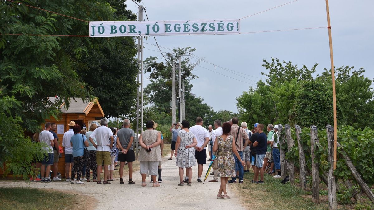 Bortúrát rendeztek a tapolcafői kertbarátok