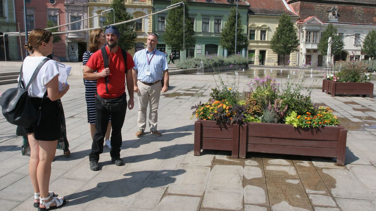 Pápára látogatott a Virágos Magyarország zsűrije