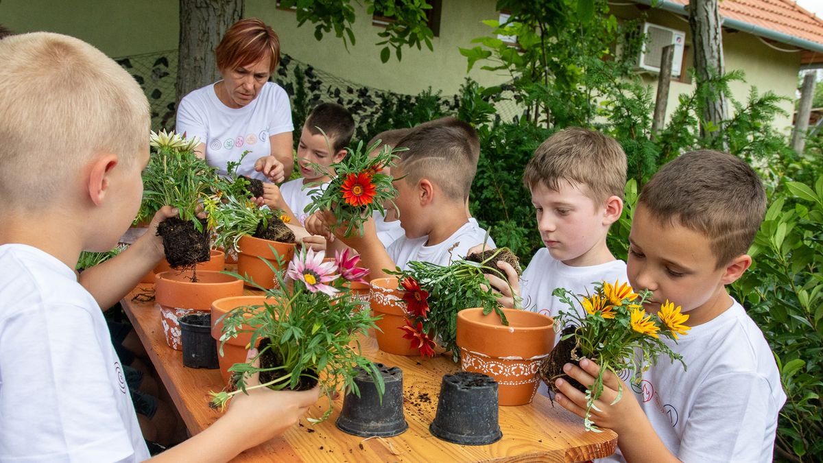 Kalandozás az öt elem birodalmában